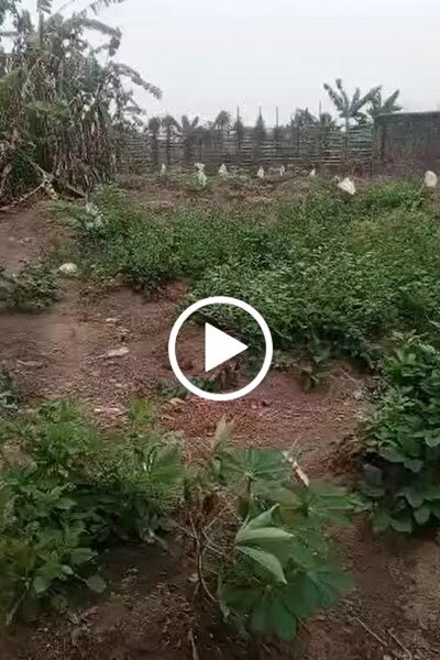 100 by 100ft land for Sale at Oputu layout Dsc. #0033
