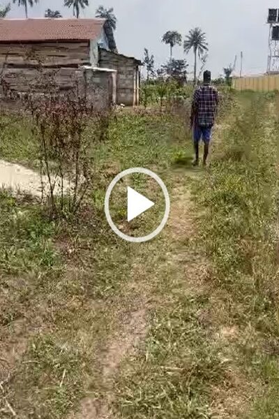 3 and half plots of Land for Sale at Oha. #0018