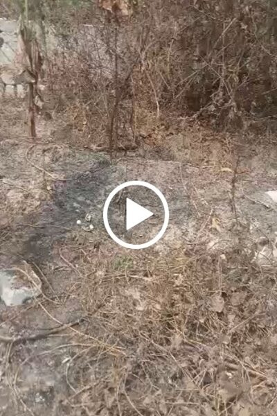 100ft×50ft Land for Sale at Jeddo. #0070