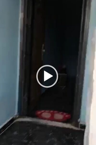 Pop Selfcontain for Rent at Jeddo. #0089
