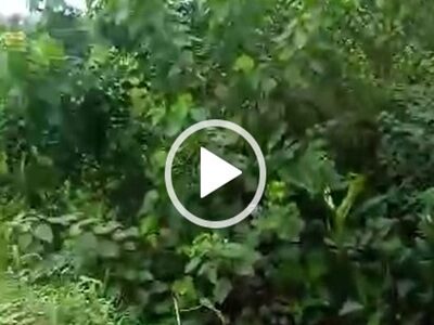 Land for Sale at Airport Road. #0114